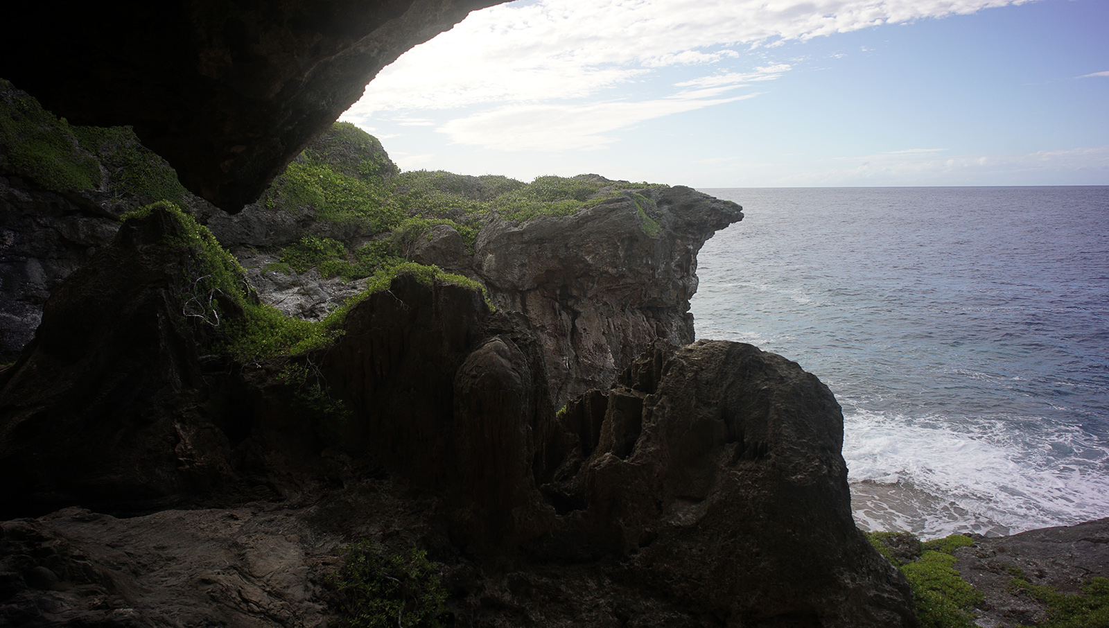 Niue Coastline