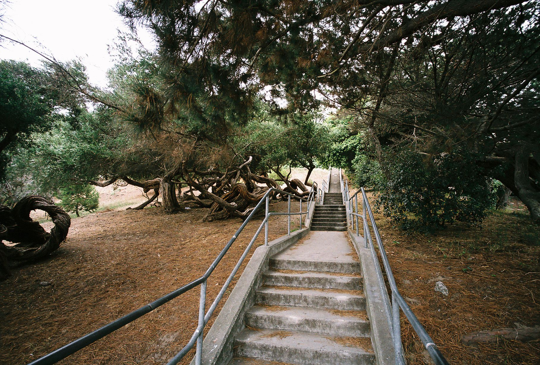 San Francisco Stairs