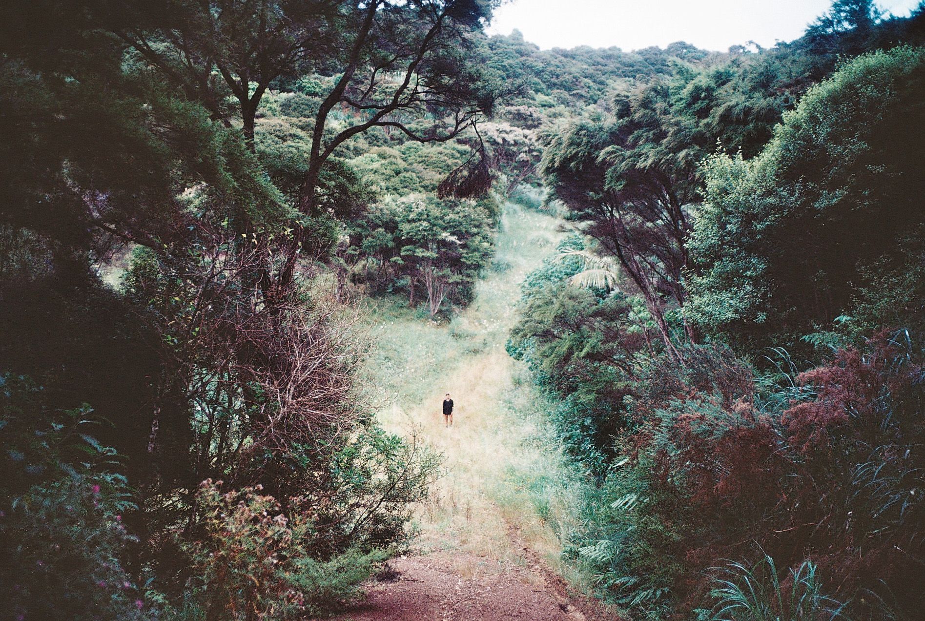 Wandering in the North Island