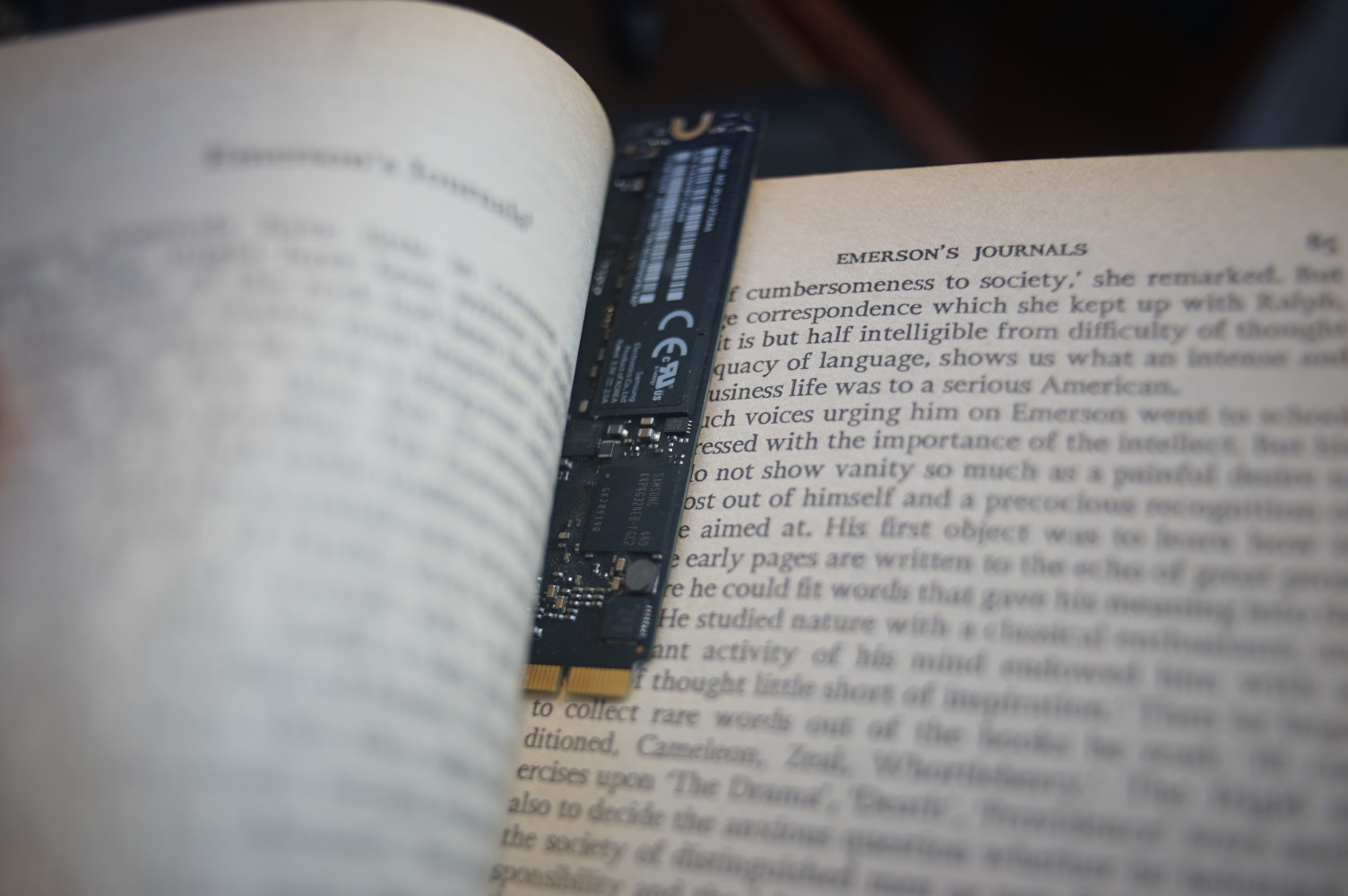 Woolf's Books & Portraits, SSD Bookmark