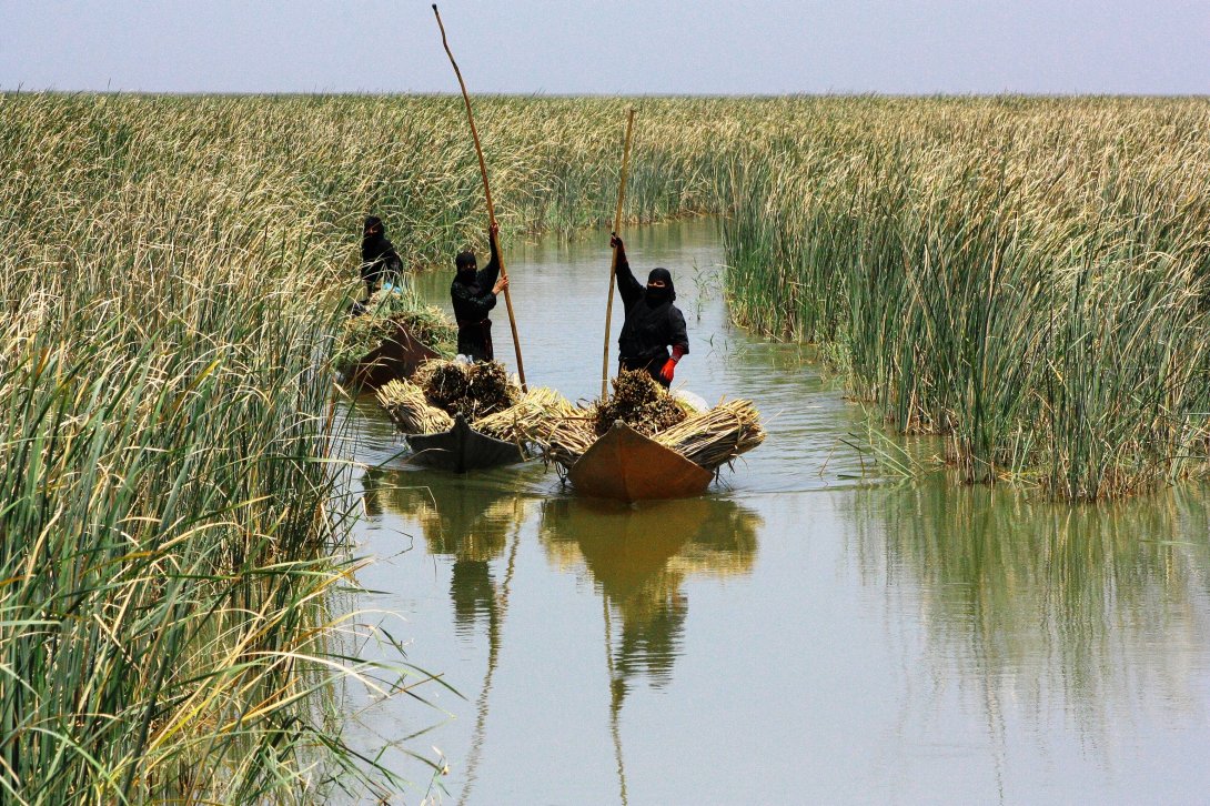 Marsh Arabs with push poles