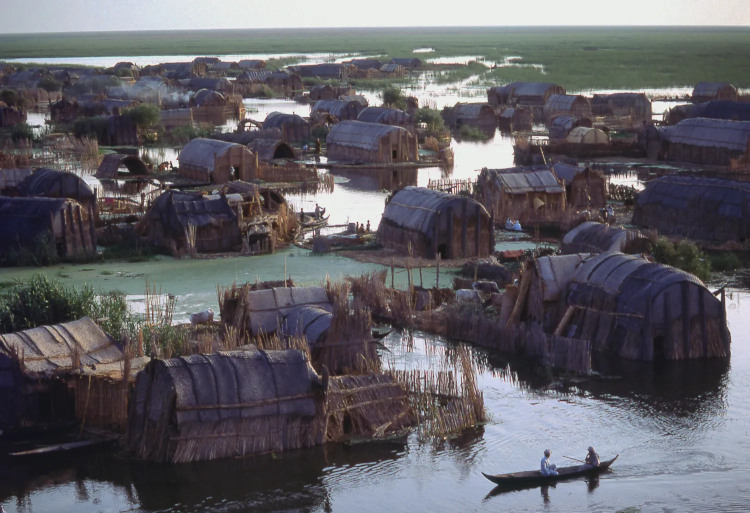Marsh Arabs houses on the water